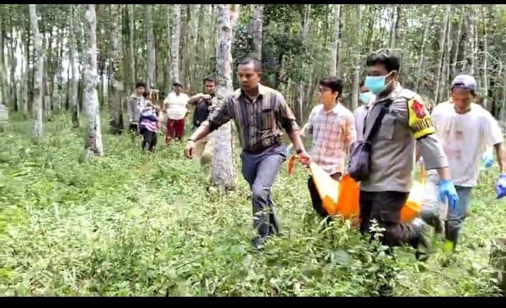 Mayat Pria Ditemukan di Rawa-Rawa Kebun Sawit