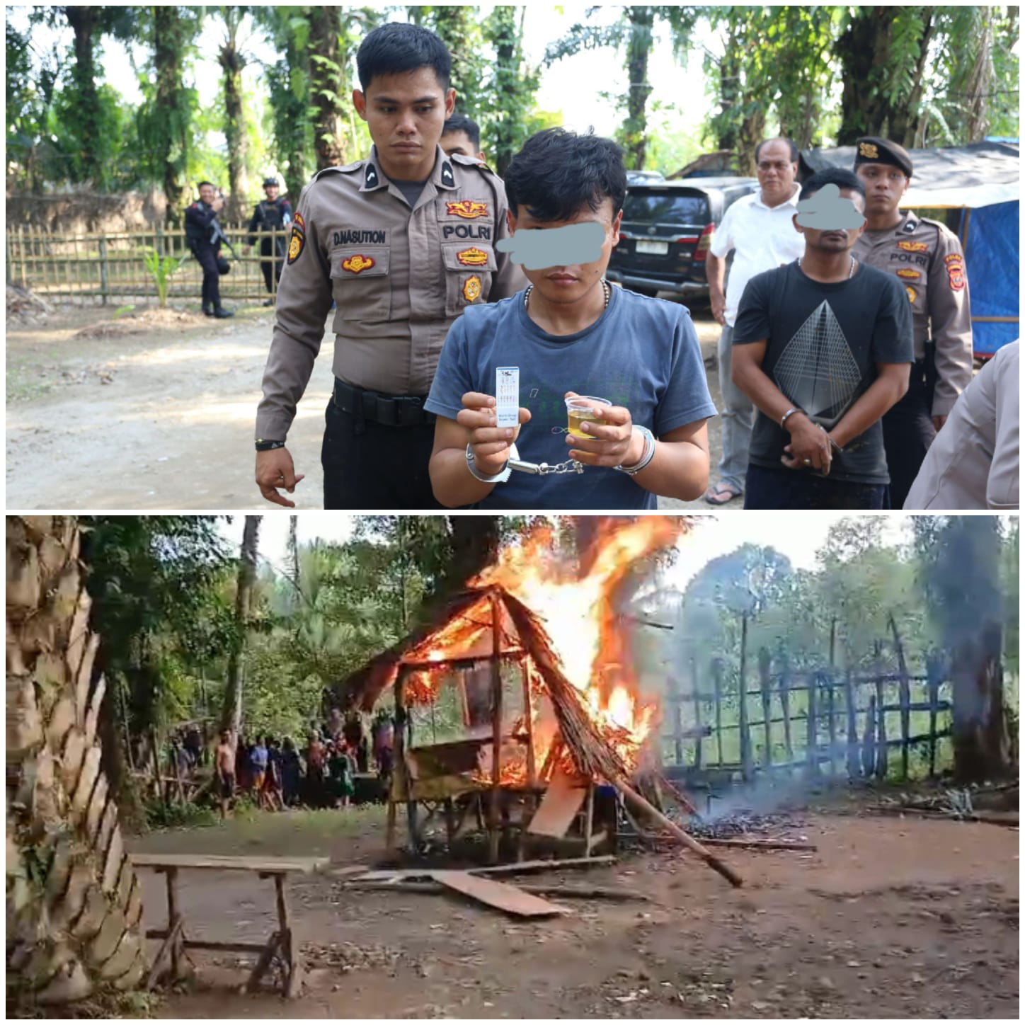 Polda Sumut Bakar Gubuk Narkoba dan Judi di Kutalimbaru, Amankan 12 Orang