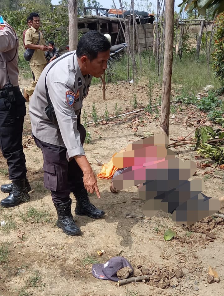 Polres Samosir: Pelaku Pembunuhan di Desa Pardomuan Nauli Dibekuk
