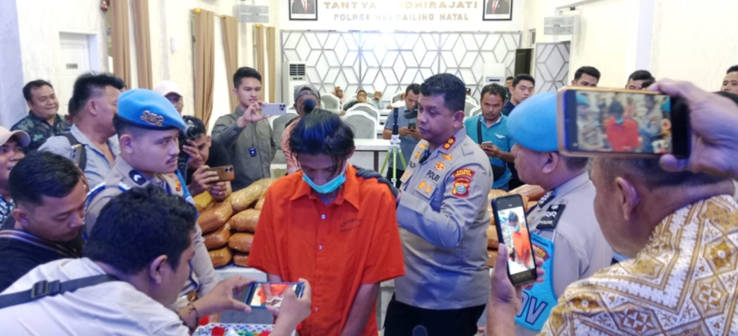 Dua Kurir Ganja 154 Kg Asal Sumatera Barat Diringkus Polres Madina,Terancam Hukuman Mati