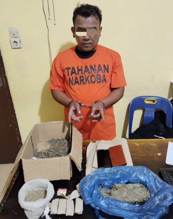 Polres Samosir Amankan BS Terduga Penjual Narkotika Jenis Ganja