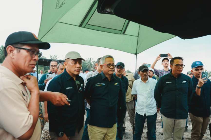 Akselerasi PSR, Rekomtek Petani Binaan PTPN IV PalmCo Tembus 13 Ribu Ha Setahun