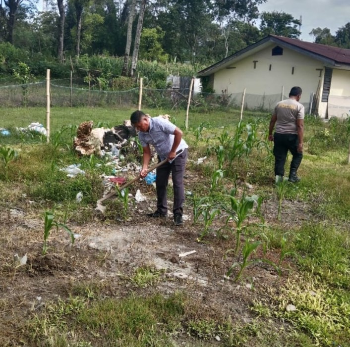 Usai Pengamanan Ibadah Gereja, Polsek Onanrunggu Lanjut Penyiangan Tanaman Jagung