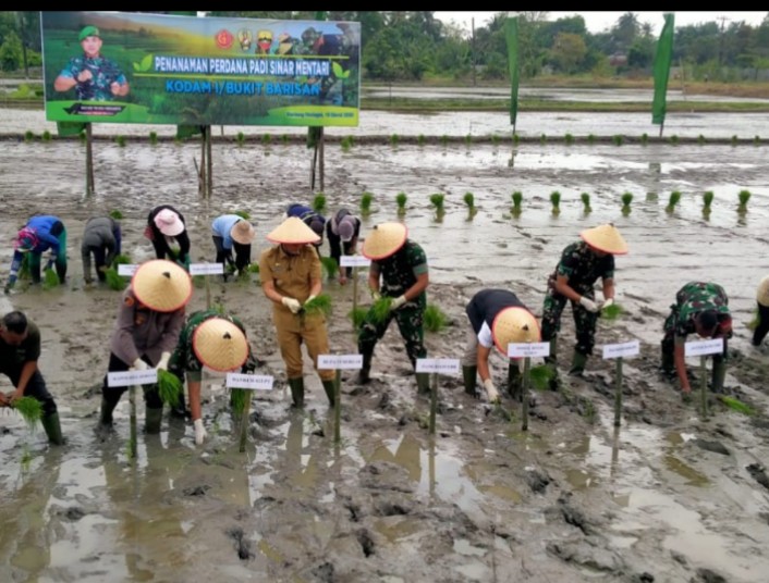 Wabup Sergai Tegaskan, Siap Berkomitmen Pengembangan Varietas Sinar Mentari.