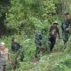 Dandim 0212/TS Pimpin Tim Patroli Gabungan dan Pemusnahan Ladang Ganja di Perbukitan Tor Sihite, Kab Mandailing Natal