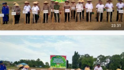 Dukung Swasembada Pangan, Polres Sergai Tanam Jagung Serentak Kuartal 3 di Desa Firdaus
