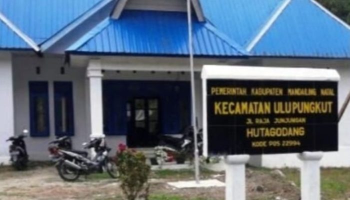Korban Tewas Tambang Ilegal Terus Bertambah, Surat Bupati Madina Dikangkangi,Camat Ulu Pungkut Bungkam