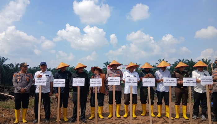 Dukung Program Ketahanan Pangan Nasional, Polres Palas Lakukan Penanaman Jagung Serentak