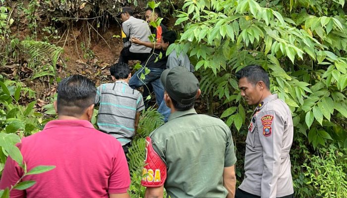 Pantau Titik Hotspot, Polres Palas dan Polsek Sosopan Cek Lokasi Karhutla