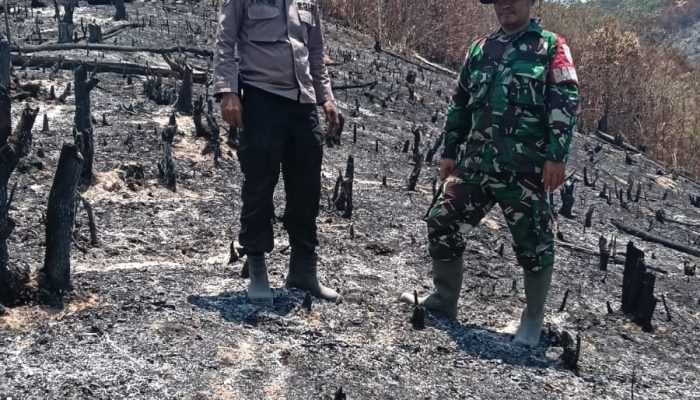 Personil Polsek Sosa dan Tim Gabungan Berjibaku Padamkan Karhutla di Kecamatan Sosa Julu