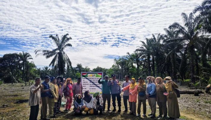 Kapolsek Barumun Laksanakan Penanaman Jagung Hibrida di Desa Arse Simatorkis