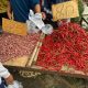Harga Cabai Mahal, Begini Gambaran Kesejahteraan Petani Ditengah Lompatan Nilai Tukar