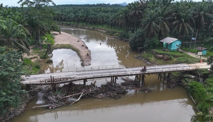 PalmCo Perbaiki Jembatan Sungai Sosa, Penghubung Vital 13 Desa di Padang Lawas