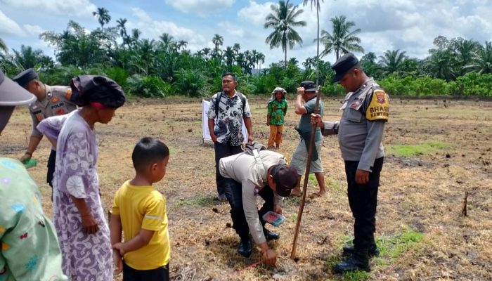 Personil Polsek Sosa Tanam Jagung di Lahan Binaannya