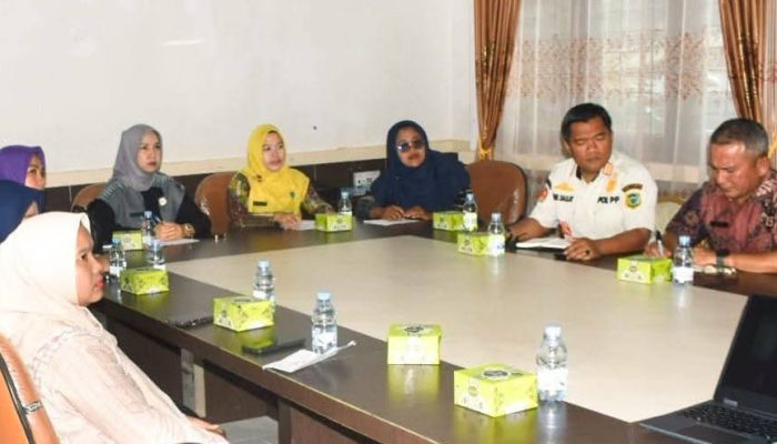 TP PKK Kabupaten Palas Sosialisasi Penyusunan Renstra dan Saran Tindak Terhadap Isu Strategis Posyandu Enam Bidang SPM