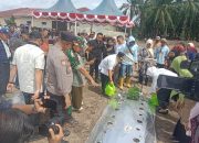 Dorang Ketapang dan Stabilitas Harga Pangan Kabupaten Palas, Bupati Bersama Ketua TP PKK Tanam Cabe Merah Perdana