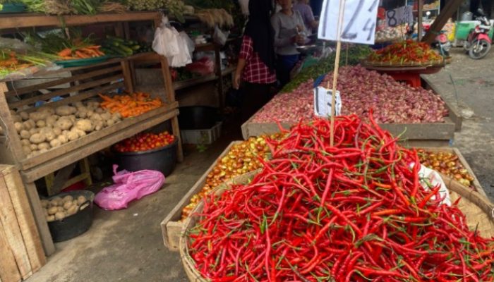 Pengamat Ekonomi : Harga Cabai Sempat Naik, Sejauh Mana Peran Spekulan Memainkan Harga?