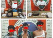 Jaringan Bandar, Pengedar dan Pemakai Ganja Kembali Berhasil Diringkus Tim Opsnal Satresnarkoba Polres Palas