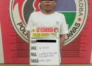 Satresnarkoba Polres Palas Tangkap Pria Pengedar Sabu di Pasar Sibuhuan