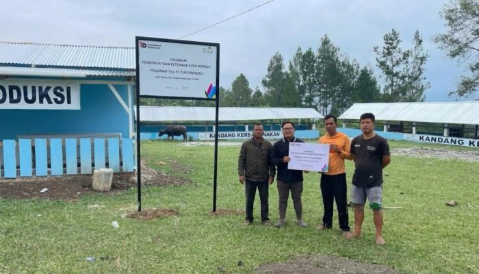 Dukung Ketahanan Pangan, PLN UID Sumut Gulirkan Program Ternak Kerbau di Huta Tinggi