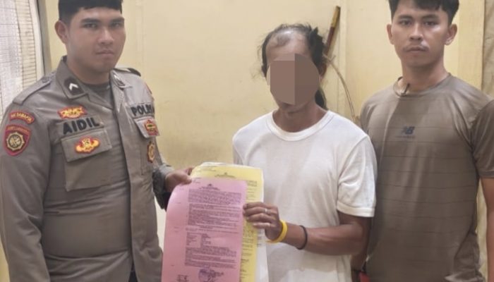 Curi Puluhan Tandan Sawit PT APN, Pria di Padang Lawas Ditahan Sat Reskrim